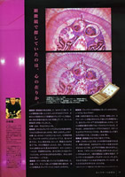 2004小林健二参考書誌